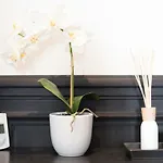Luxury Apartment In Saint-Germain